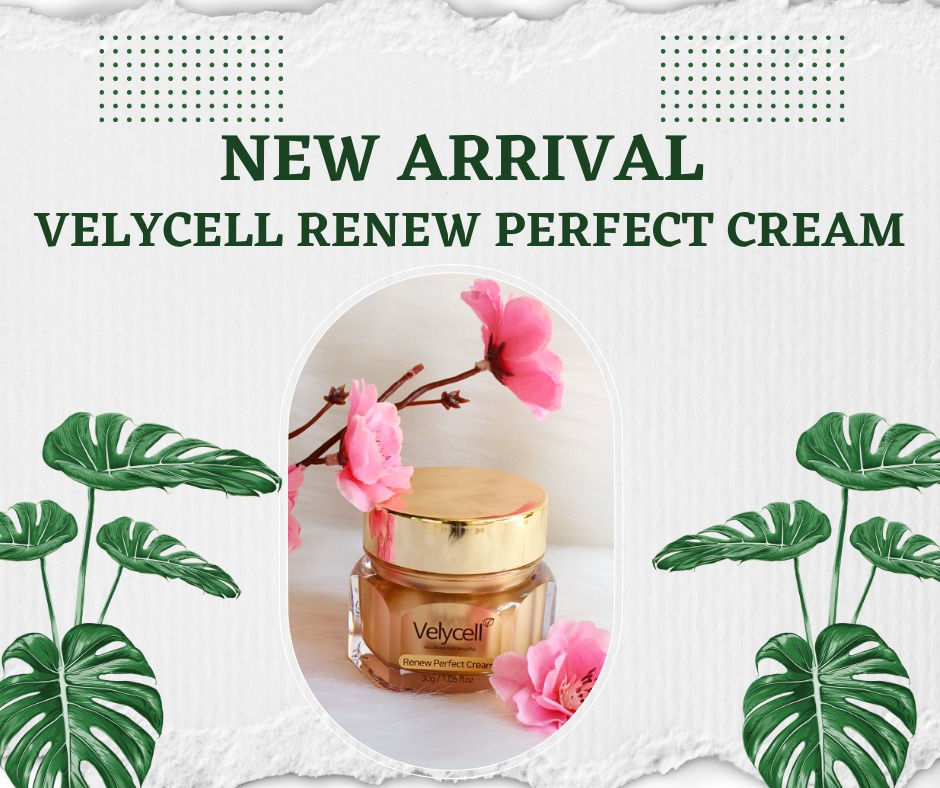 Kem dưỡng tái tạo da Velycell Renew Perfect Cream 30g (Hộp)