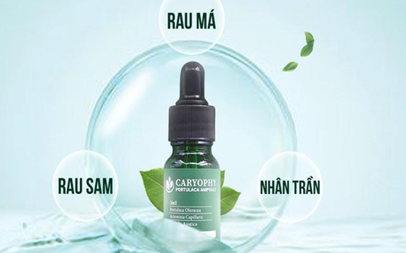 TINH CHẤT RAU MÁ TRỊ MỤN CARYOPHY PORTULACA AMPOULE 10ML