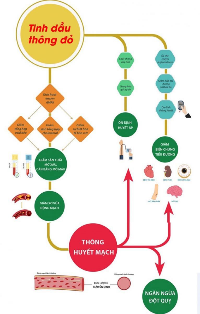VÌ SAO NÊN LỰA CHỌN CÁC SẢN PHẨM TINH DẦU THÔNG ĐỎ HÀN QUỐC?