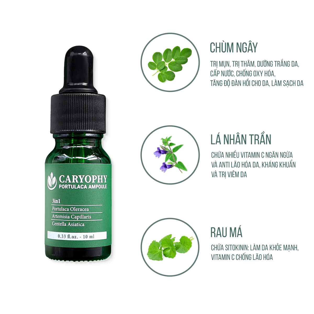 NGẮM NGHÍA BẢNG THÀNH PHẦN CỦA ANH HÙNG TRỊ MỤN CARYOPHY