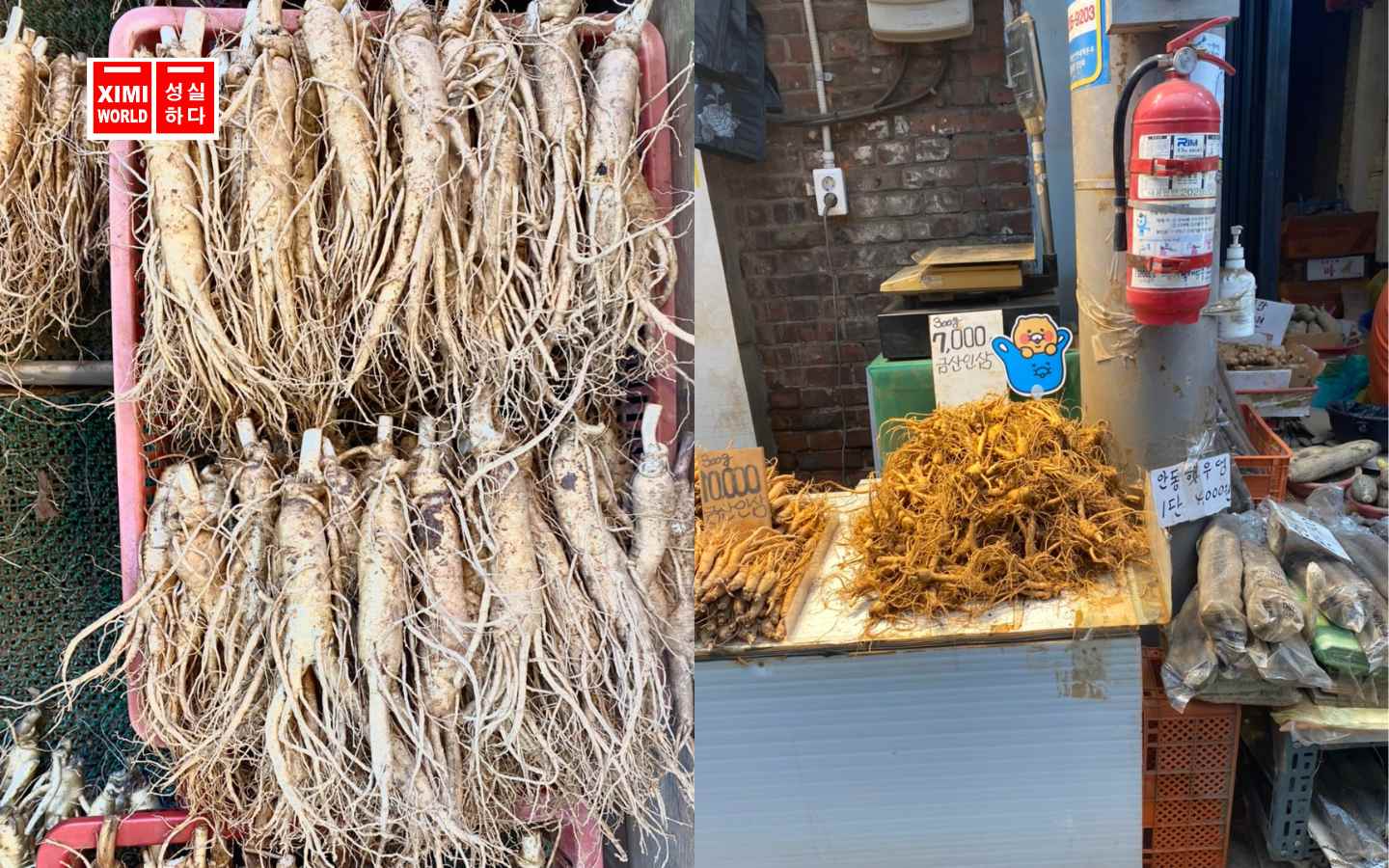 XIMIWORLD - THIÊN ĐƯỜNG MỸ PHẨM CHÍNH HÃNG, CHẤT LƯỢNG